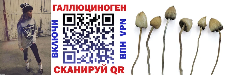 дарнет шоп  Уфа  ссылка на мегу маркетплейс  Галлюциногенные грибы Cubensis 